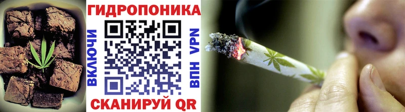 магазин продажи наркотиков  Елизово  Canna-Cookies конопля 