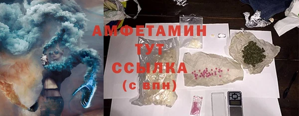 мдпв Вяземский