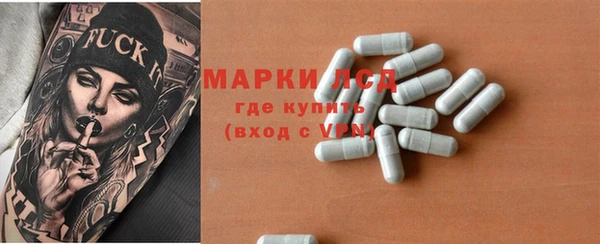 мдпв Вяземский