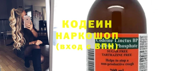 мдпв Вяземский