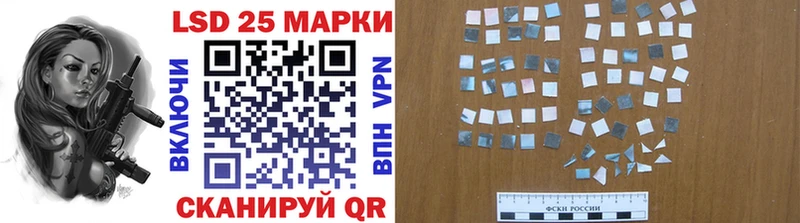купить наркоту  Елизово  площадка официальный сайт  Марки N-bome 1500мкг  мега ссылки 