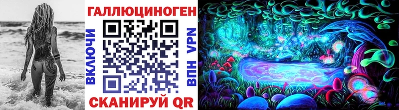 Галлюциногенные грибы Psilocybe  Елизово 